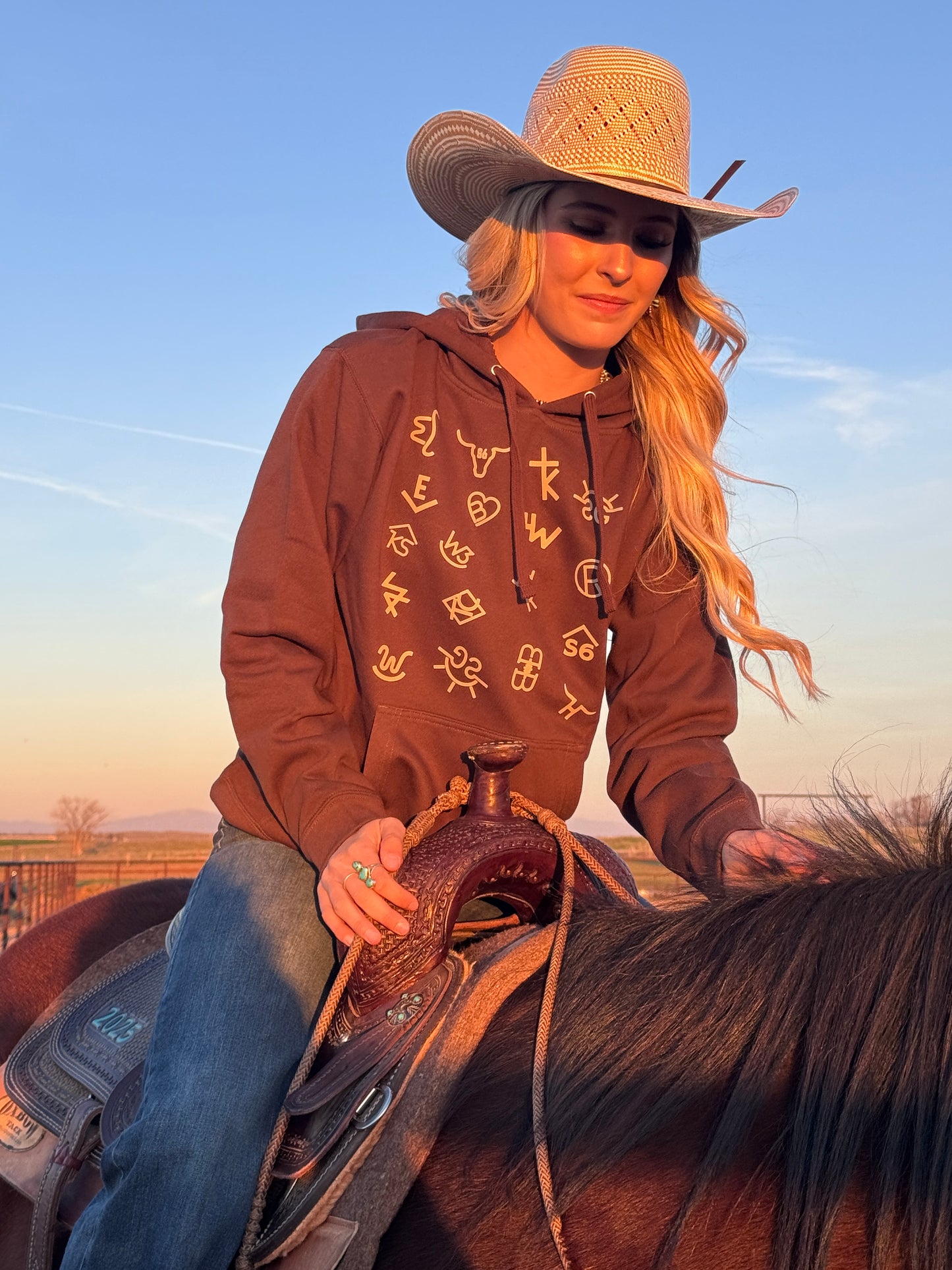 Cattle Ranch Brands Brown Hoodie