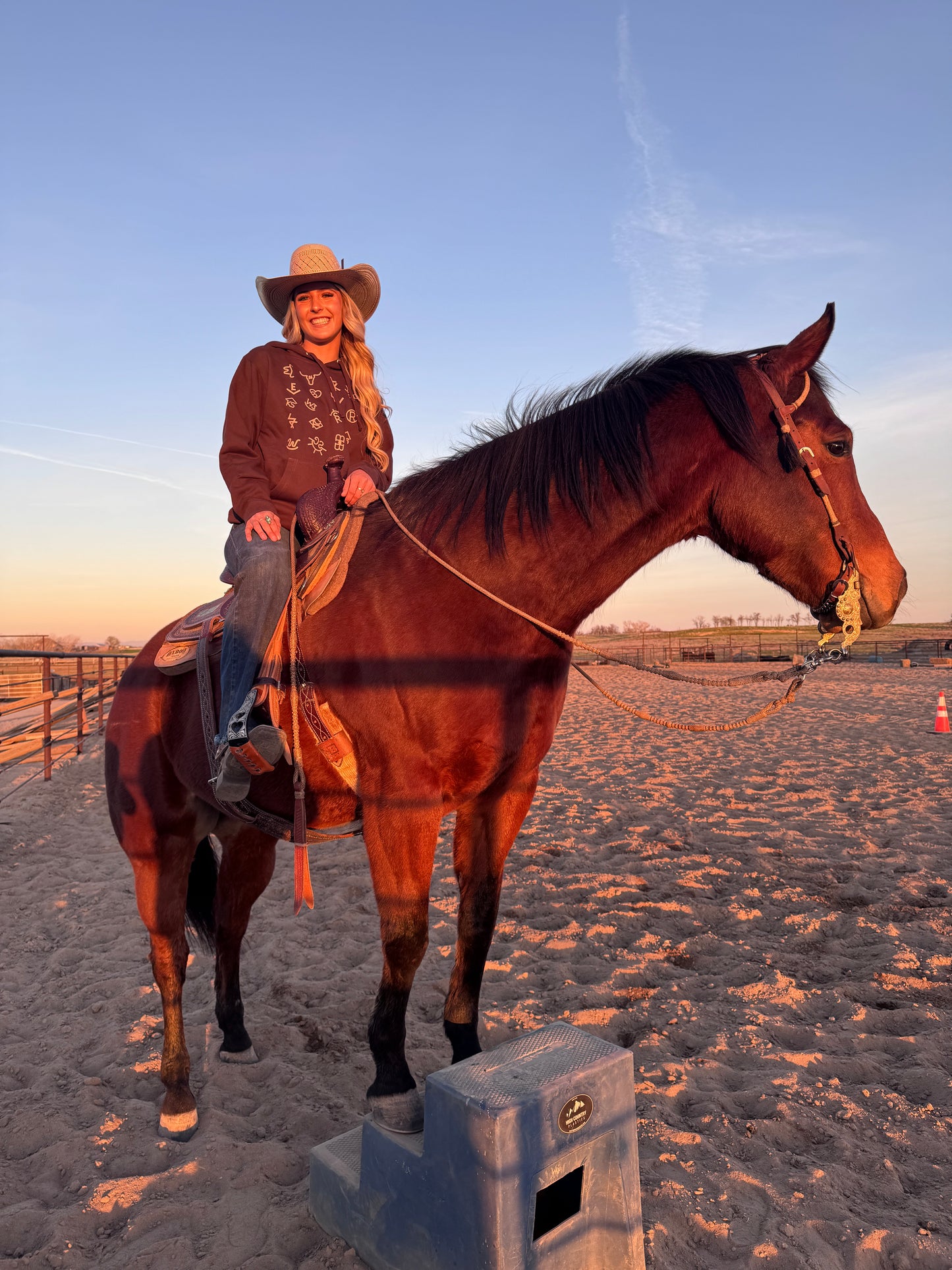 Cattle Ranch Brands Brown Hoodie