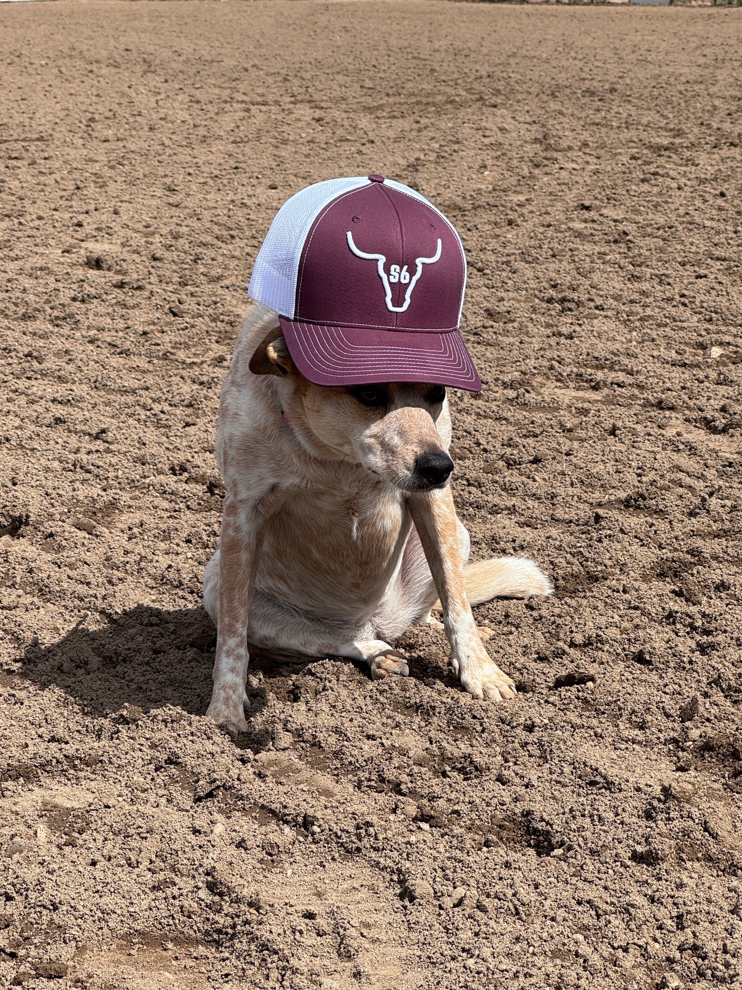 Embroidered Hat with Snappy6 Logo Maroon with White logo.